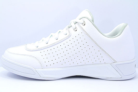 AND1 Tai Chi TGR Low アンドワン タイチ TGR　ロー(White/Silver)